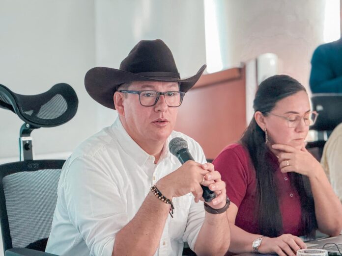 CNE definirá el futuro