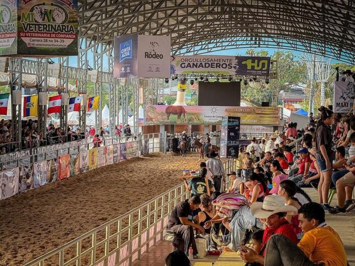 El Meta recibió un 47% más de vehículos