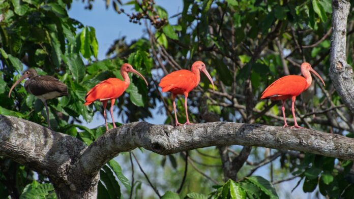 turismo de naturaleza