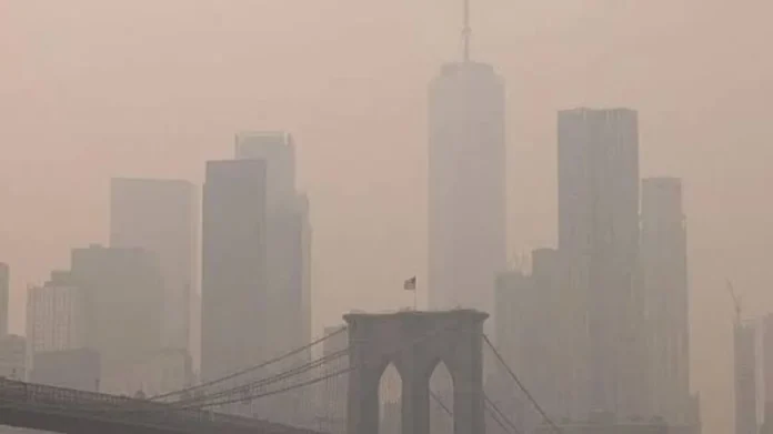 humo de incendios forestales