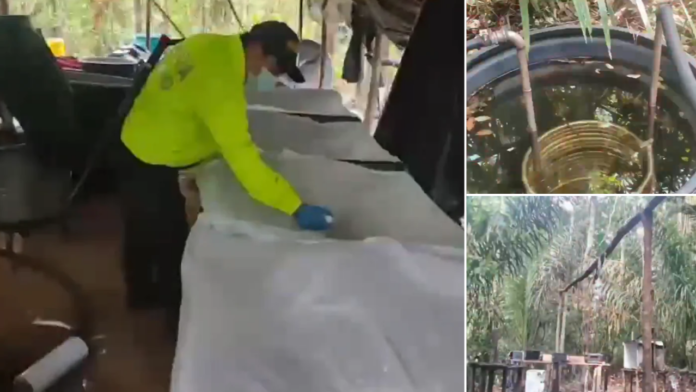 estructura para procesar cocaína
