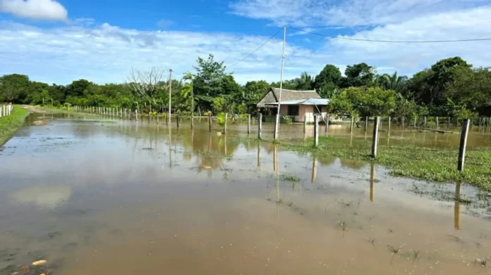alivios crediticios de FINAGRO